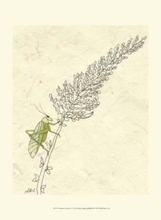 Summer Chorus III by Alicia Ludwig art print