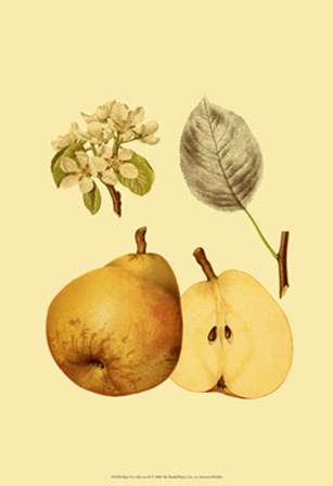 Ripe for Harvest II by Heinrich Pfeiffer art print