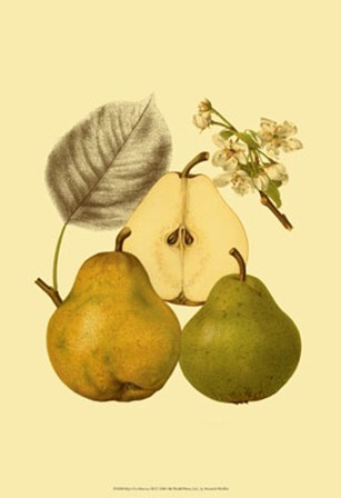 Ripe for Harvest III by Heinrich Pfeiffer art print