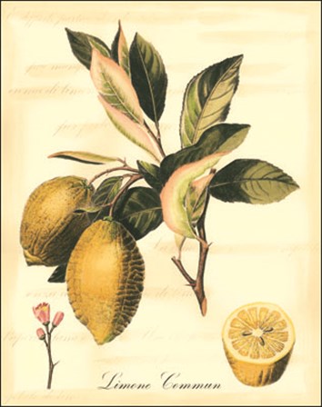 Custom Tuscan Fruits II (AO) by Vision Studio art print
