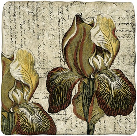 Vintage Composition III by Vision Studio art print