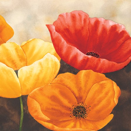 Papaveri variopinti II by Maria Grazia Luffarelli art print