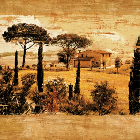 Tuscan Countryside I by Colin Floyd art print