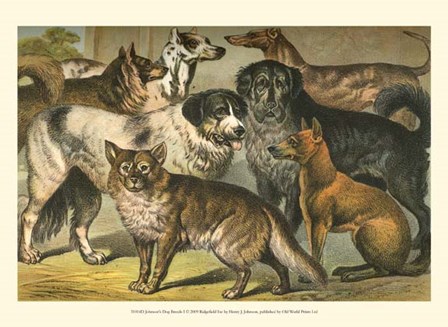 Johnson&#39;s Dog Breeds I by Henry J. Johnson art print