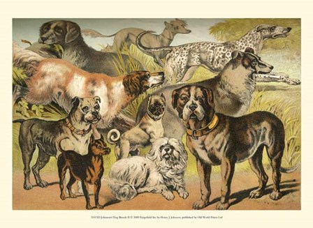 Johnson&#39;s Dog Breeds II by Henry J. Johnson art print