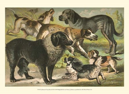 Johnson&#39;s Dog Breeds III by Henry J. Johnson art print