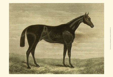 Pretender art print