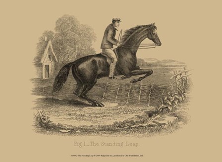 The Standing Leap art print