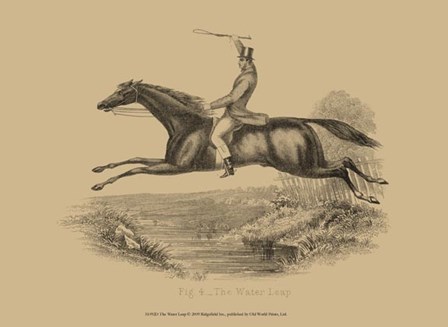 The Water Leap art print