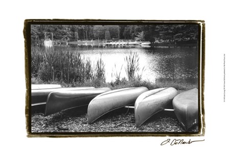 Lake Living I by Laura Denardo art print