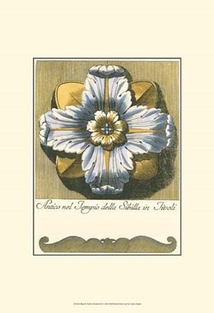 Blue &amp; Yellow Rosette III by Vision Studio art print