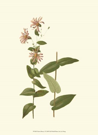Native Beauty I by Louis Prang art print