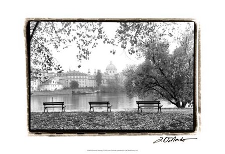 Peaceful Morning by Laura Denardo art print