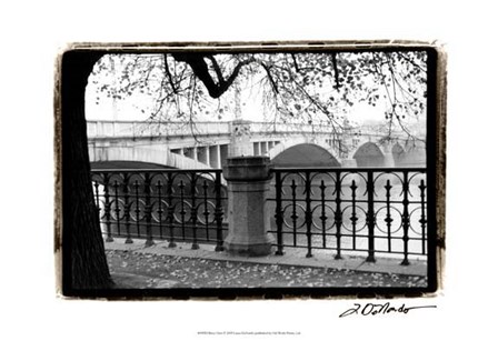 Riverview by Laura Denardo art print