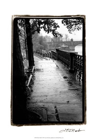 Riverwalk by Laura Denardo art print