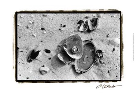 Sand Treasures III by Laura Denardo art print