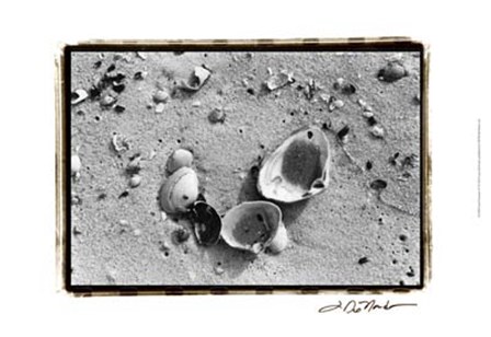 Sand Treasures IV by Laura Denardo art print