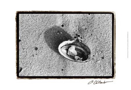 Sand Treasures VI by Laura Denardo art print