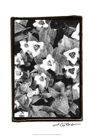 Springtime Garden I by Laura Denardo art print