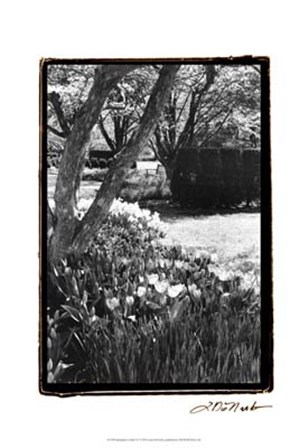 Springtime Garden IV by Laura Denardo art print