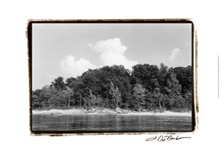 Serene Lake I by Laura Denardo art print