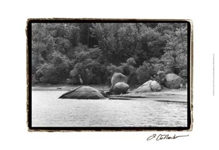 Serene Lake II by Laura Denardo art print