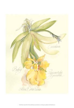 Elissa&#39;s Garden III by Elissa Della-Piana art print
