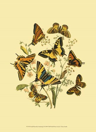 Small Butterfly Gathering I by Vision Studio art print