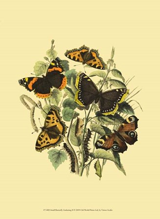 Small Butterfly Gathering II by Vision Studio art print