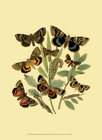 Small Butterfly Gathering III by Vision Studio art print