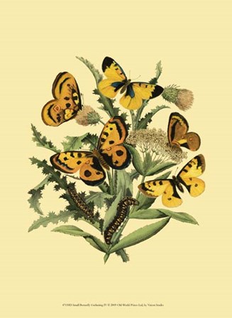 Small Butterfly Gathering IV by Vision Studio art print