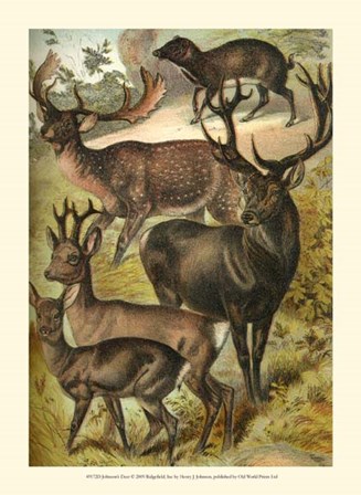 Johnson&#39;s Deer by Henry J. Johnson art print