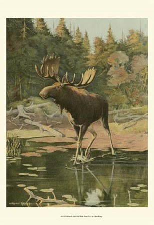Moose by Oliver Kemp art print