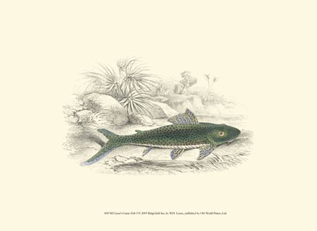 Lizars&#39; Game Fish I by W.h. Lizars art print