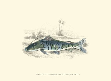 Lizars&#39; Game Fish II by W.h. Lizars art print