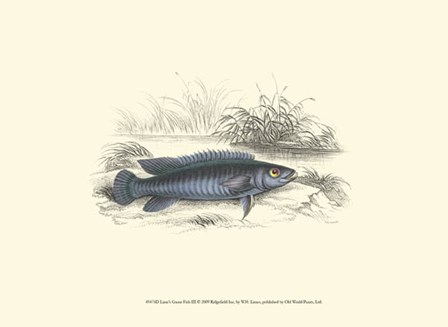 Lizars&#39; Game Fish III by W.h. Lizars art print