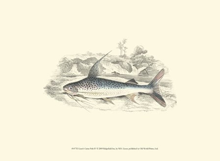 Lizars&#39; Game Fish IV by W.h. Lizars art print