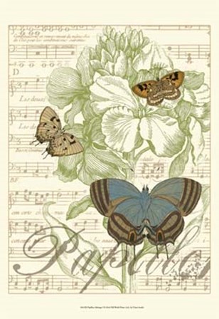 Papillon Melange I by Vision Studio art print