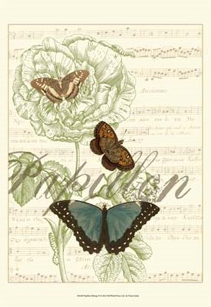 Papillon Melange II by Vision Studio art print