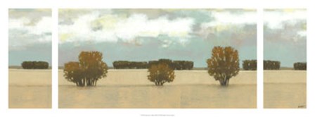 Panoramic Scent of Rain by Norman Wyatt Jr. art print