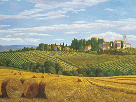 Campo in Toscana by Andrea Del Missier art print