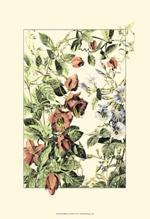 Wildflower Field II art print