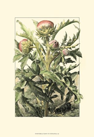Wildflower Field III art print