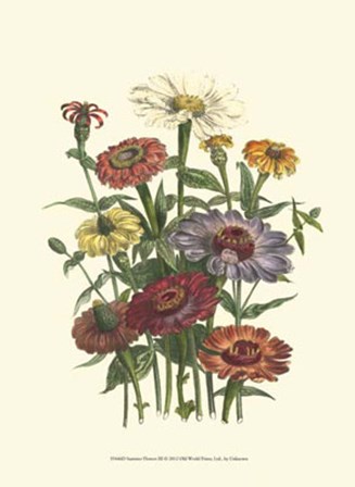Summer Flowers III art print