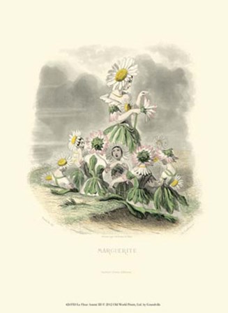 Le Fleur AnimT III by J. J. Grandville art print