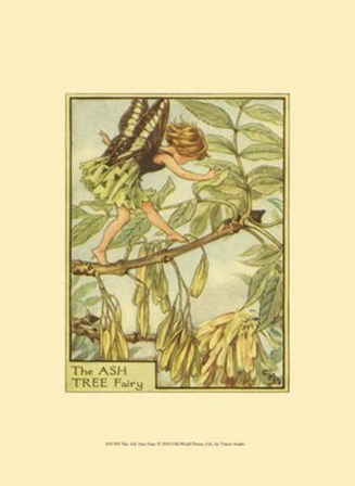 The Ash Tree Fairy by Vision Studio art print