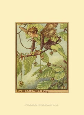 The Beech Tree Fairy by Vision Studio art print