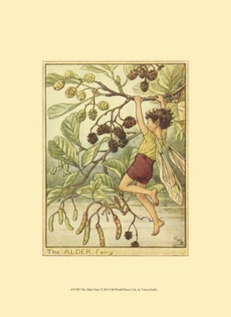 The Alder Fairy by Vision Studio art print
