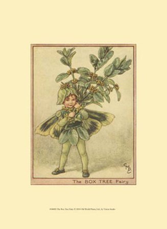 The Box Tree Fairy by Vision Studio art print