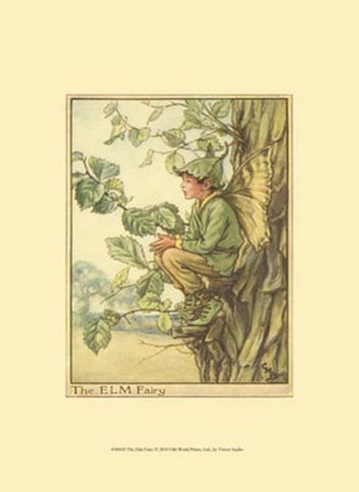 The Elm Fairy by Vision Studio art print